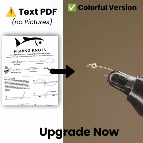 Upgrade To 1,000+ Colorful Beginner Friendly Notes